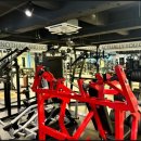 오늘의 마이핏 이미지