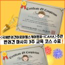 솔솔애견유치원 이미지