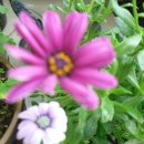 인천대공원 내 이미지