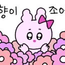 인우트 이미지