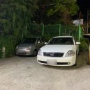 더도이축산직영점 기장점 이미지