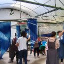 쪽빛나라 이미지