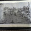 1920년대 대구시 달성군 논공면에 위치한 "백기양봉장" 모습 사진 이미지