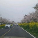 향촌양돈장 이미지