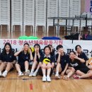 2018 청소년체육활동지원 여학생 스포츠 피구교실 - 세교고등학교(2차시) 이미지