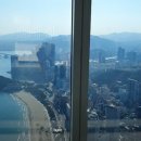 오션옵스 이미지