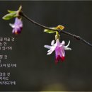 다시 봄 이미지