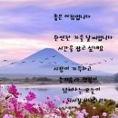 금빛샘어린이집 | *11월3일 맑은 제주 하늘아래서 뉴우스 전합니다