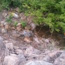 동강공인중개사사무소 이미지