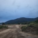 강변장 | 대구 논공꽃단지 주차 시간 해바라기 핑크뮬리 사진찍기 좋은곳