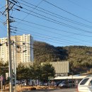 단양보건소 건너편 이미지