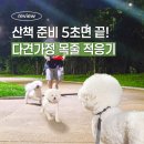 산책 - 안양시 만안구 | 강아지리드줄 CARPET 이지그립 다견가정 3주 산책 후기