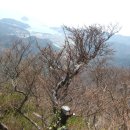 남해-253 이미지