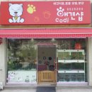 코디애견샵 네이버블로그