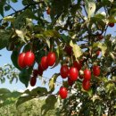 커피허브 이미지