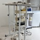 더블유(W) 고양이 미용센터 | 고양이 서머컷(미용) 후기 - W 고양이미용센터 부평