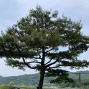문강유황온천호텔식당 이미지