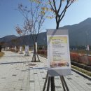 청춘역1979 이미지