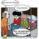 꼬꼬야 이미지