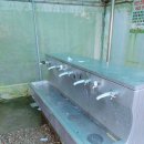 연미향마을 | 연미향 마을 캠핑장 후기 , 화장실 쏘쏘