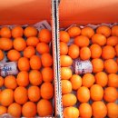 가영농장 이미지