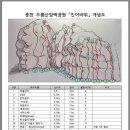 인어루트