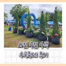 사천 4천4색 수국축제 후기