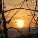 31140-7-55-35 | 염증수치 낮추는 영양제 추천 만성피로 증상 해결 염증수치 낮추는 방법 퀘르세틴 후기