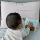 그림책 생각놀이(1기) | 구버전 야물야물 그림책 중고구매 솔직 후기 : 8개월 아기 반응