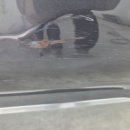 새차만들기 | 양주외형복원 새차만들기에 맡긴후기