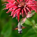 다니엘학교 이미지