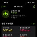 데카스론 이미지