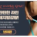 (주)브이원