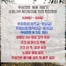 청주무심천벚꽃길_드라이브스루 이미지