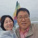 24.10.6 선유도여행 이미지