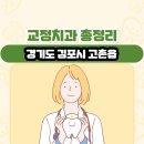 향산행복한치과의원 | 경기도 김포시 고촌읍 교정치과 총정리