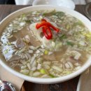 신동제 | [애견동반식당] 쌀국수맛집, 수원 태국음식 맛집, 신동 쌀국수, 신동 태국 음식점, 신동맛집, 팟타이...