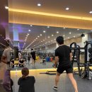 레이블짐&피티 이미지