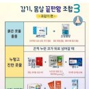 약사가 인정하는 감기 몸살 끝판왕 조합 이미지