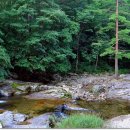 계곡의아침 이미지