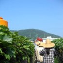 돌구지경로당 이미지