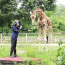 서울대공원 이미지