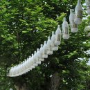 놀부마을 이미지