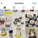 이야(YIYA) 이미지