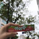 토마토판매 | [신상 리뷰] 마이쮸 토마토맛🍅 솔직 후기 (내돈내산)