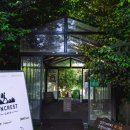 미소농장 | 제주 아침미소목장 아이랑 가볼만한 곳 카이막 디저트 농장 내돈내산 제주카페 추천_5월 제주 여행#1