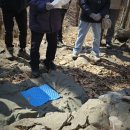 사)한국연극협회산악대299차산행/2026년병오년시산제가서울시에서가장 기가 쎈 남한산(522m)에서성대하게 거행했다-2026년3월7일 이미지