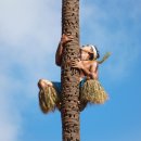 목동 유학원 이미지