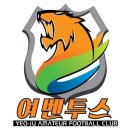 흥천체육공원 축구장 네이버블로그