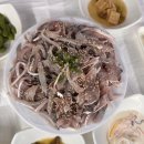 대포전어와며느리 | [삼천포맛집]대포 전어와 며느리 방문 후기
